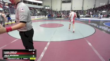 160 lbs Quarterfinal - Cadin Creeley, Newark Valley Sr HS vs Arius Bradbury, Elmira HS