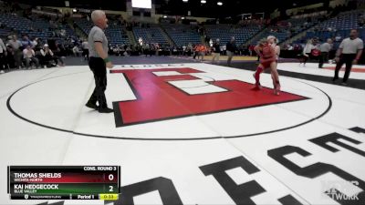 6A - 113 lbs Cons. Round 3 - Thomas Shields, Wichita-North vs Kai Hedgecock, Blue Valley