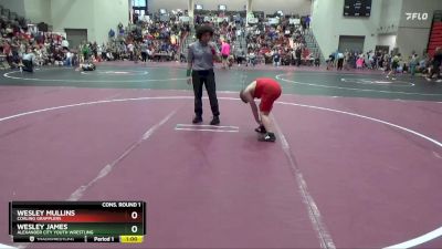 95 lbs Cons. Round 1 - Wesley James, Alexander City Youth Wrestling vs Wesley Mullins, Coaling Grapplers