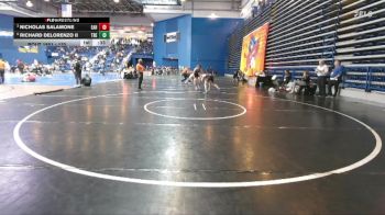 132 lbs Cons. Round 6 - Richard Delorenzo II, Toms River East vs Nicholas Salamone, Easton Area Hs