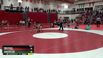 138 lbs Cons. Round 3 - Dawson Fish, Dubuque Hempstead vs Tien Pham, Iowa City, Liberty