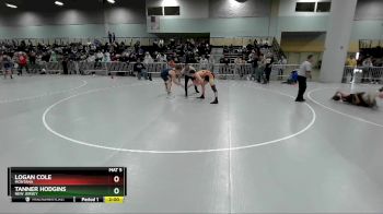 165 lbs Semifinal - Logan Cole, Montana vs Tanner Hodgins, New Jersey