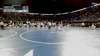 110 lbs Quarterfinal - Gianna Cafeo, Canon-McMillan vs Raegan Milheim, Berwick