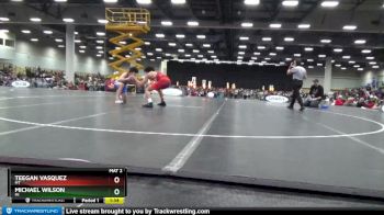 132 lbs Champ. Round 1 - Michael Wilson, MI vs Teegan Vasquez, MT