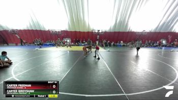 132 lbs Round 2 (16 Team) - Carter Freeman, Wisconsin Rapids vs Carter Birdyshaw, Weyauwega-Fremont