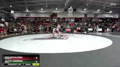 141 lbs Cons. Round 2 - Cole McCullough, Newberry vs Ashton Anderson, Findlay