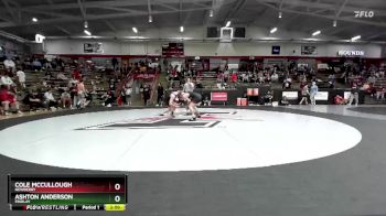 141 lbs Cons. Round 2 - Cole McCullough, Newberry vs Ashton Anderson, Findlay