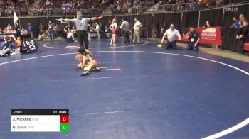 75 lbs Consy 5 - Jayvion Mickens, Albert Gallatin vs Nash Davis, Central Columbia