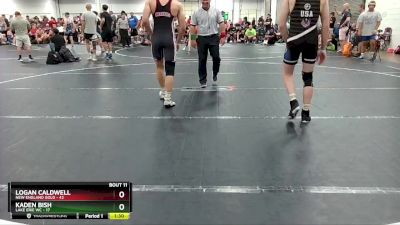 175 lbs Round 4 (6 Team) - Logan Caldwell, New England Gold vs Kaden Bish, Lake Erie WC