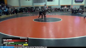 120 lbs Quarterfinal - Trinity Meyers, Iowa City, West vs Ally Jelinek, Linn-Mar