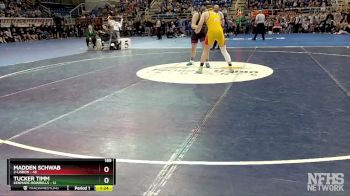 189 lbs Quarterfinal - Madden Schwab, 2-Lisbon vs Tucker Timm, Kenmare-Bowbells