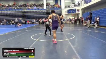 190 lbs Champ. Round 1 - Drake Harris, SWANTON vs Cameron Wilgus, MAUMEE