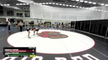 149 lbs Cons. Round 2 - Angelo Pellicci, Ithaca vs Marcus Tapper, Pennsylvania College Of Technology