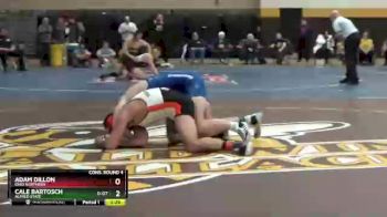 174 lbs Cons. Round 4 - Cale Bartosch, Alfred State vs Adam Dillon, Ohio Northern