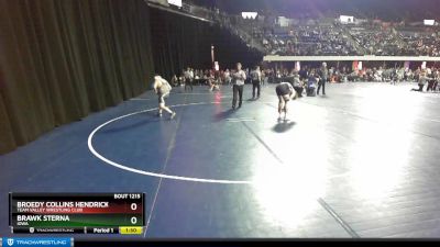 175 lbs Round 2 - Brawk Sterna, Iowa vs Broedy Collins Hendricks, Team Valley Wrestling Club