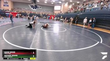 132 lbs Cons. Round 3 - Gavin Wood, Cedar Park vs Nathan Adams, North DeSoto