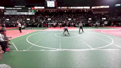 114 lbs Quarterfinal - Elijah Bushy, BEASTA vs Easton Ballinger, PROA