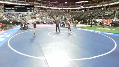 113-4A Champ. Round 1 - Kaleb Wells, Roosevelt High School vs Noah Meza, Falcon