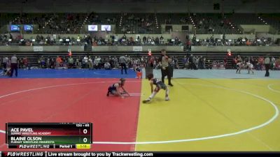 65 lbs Round 2 - Blaine Olson, Pursuit Wrestling Minnesota vs Ace Pavel, Summit Wrestling Academy