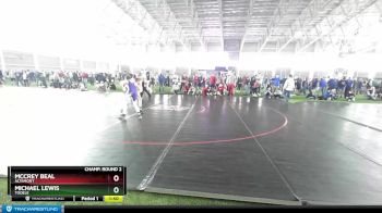 132 lbs Champ. Round 2 - McCrey Beal, Altamont vs Michael Lewis, Tooele