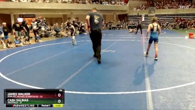 93 lbs Semis & 1st Wrestleback (8 Team) - JAMES WALKER, STMA (St. Michael/Albertville) vs Cash Salinas, Westfield