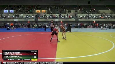 65 lbs Round 2 - Cole Gunderson, Victory School Of Wrestling vs Sawyer Sweazey, Pursuit Wrestling Minnesota