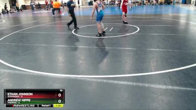 115 lbs Semis (4 Team) - Andrew Hippe, TMBWWG vs Ethan Johnson, Alexandria