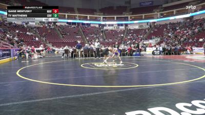 107 lbs Preliminaries - Gaige Mentusky, North Schuylkill vs Ty Matthews, Central