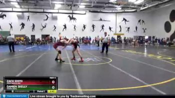 141 lbs Champ. Round 1 - Zach Smith, Ohio Wesleyan vs Damien Skelly, Heidelberg