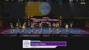 Flemington Falcons - Eastern [2024 Central Jersey Pop Warner Tuesday] 2024 Pop Warner National Cheer & Dance Championship