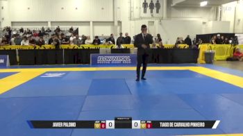 Tiago De Carvalho Pinheiro vs Javier Palomo 2025 World IBJJF Jiu-Jitsu No-Gi Championship