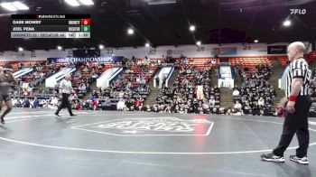 132 lbs Quarterfinals (8 Team) - Joel Pena, Decatur vs Gabe Mowry, Union City