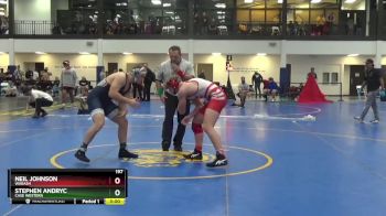 197 lbs 3rd Place Match - Neil Johnson, Wabash vs Stephen Andryc, Case Western