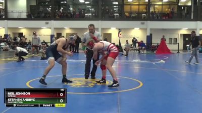 197 lbs 3rd Place Match - Neil Johnson, Wabash vs Stephen Andryc, Case Western