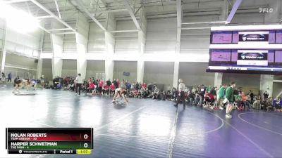 110 lbs Quarters & Wb (16 Team) - Harper Schwetman, The Farm vs Nolan Roberts, Team Oregon