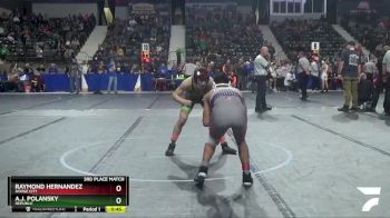 126 lbs 3rd Place Match - Raymond Hernandez, Dodge City vs A.j. Polansky, Republic