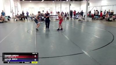 165 lbs Placement Matches (8 Team) - Tanner Gibeau, New York Blue vs Samuel Birch, Utah