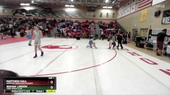 96 lbs Champ. Round 1 - Roman Larson, Toro World Club vs Matthew Hall, Whatcom Wrestling Academy