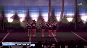 Florida Top Dog All Stars - Mini Black [2026 L1 Mini - Novice - Restrictions Day 1] 2026 The American Open Orlando Nationals