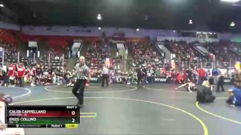 102 lbs Round 2 (4 Team) - Caleb Cappellano, Hartland vs Enzo Collino, Ida