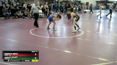 132 lbs Round 4 (8 Team) - Derrick Birch, Emery vs Hadley Platt, Fremont