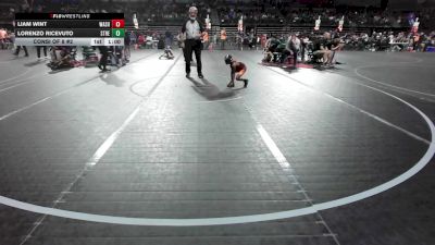 49 lbs Consi Of 8 #2 - Liam Wint, Washington Twp vs Lorenzo Ricevuto, Streaks Wrestling Club