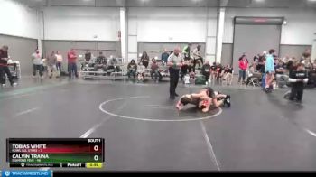 120 lbs Finals (2 Team) - Calvin Traina, Diamond Fish vs Tobias White, MJWL All Stars