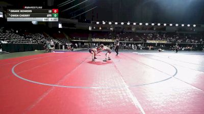 165 lbs Quarterfinal - Drake Bowers, Liberty vs Owen Cherry, Apprentice