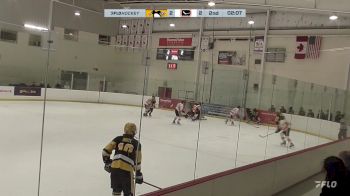 Replay: Home - 2024 Penguins U14 vs Elgin U14 | Nov 30 @ 11 AM