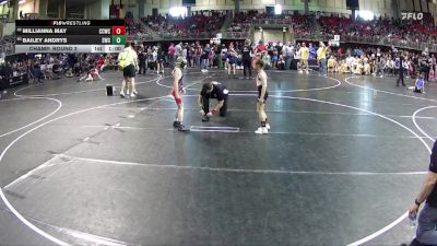 65 lbs Champ. Round 2 - Bailey Andrys, Sidney Wrestling Club vs Millianna May, Chase County Wrestling Club