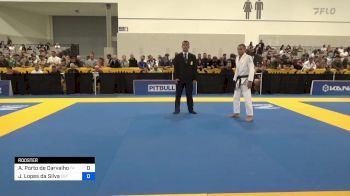 Andre Porto De Carvalho vs Juan Lopes Da Silva 2024 World Masters IBJJF Jiu-Jitsu Championship
