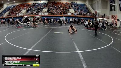 157 lbs Champ. Round 1 - Dominick Pileggi, Archbishop Curley vs Porter Bagdon, Good Counsel