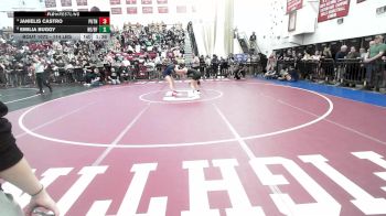 114 lbs Consi Of 8 #2 - Janielis Castro, Putnam vs Emilia Buggy, Northeast Metro Tech/Bishop Fenwick