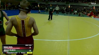 95 lbs Quarterfinal - Noah Deml, Owatonna Wrestling Academy vs Brock Irlbeck, Wabasso